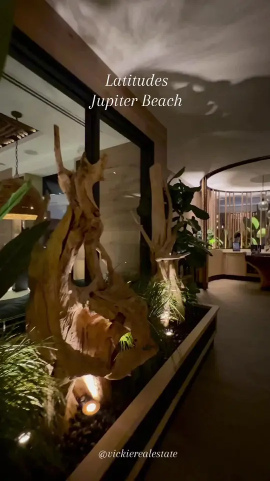  in Florida showing review, visit, blood orange cosmo, grilled octopus, baby iceberg wedge salad, florida snapper, key lime pie, video by vickierealestate on TikTok
