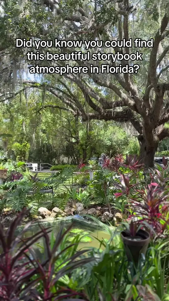 Lavender 'n Lace Tearoom in Lake Alfred showing visit, atmosphere, video by heydeyanira on TikTok