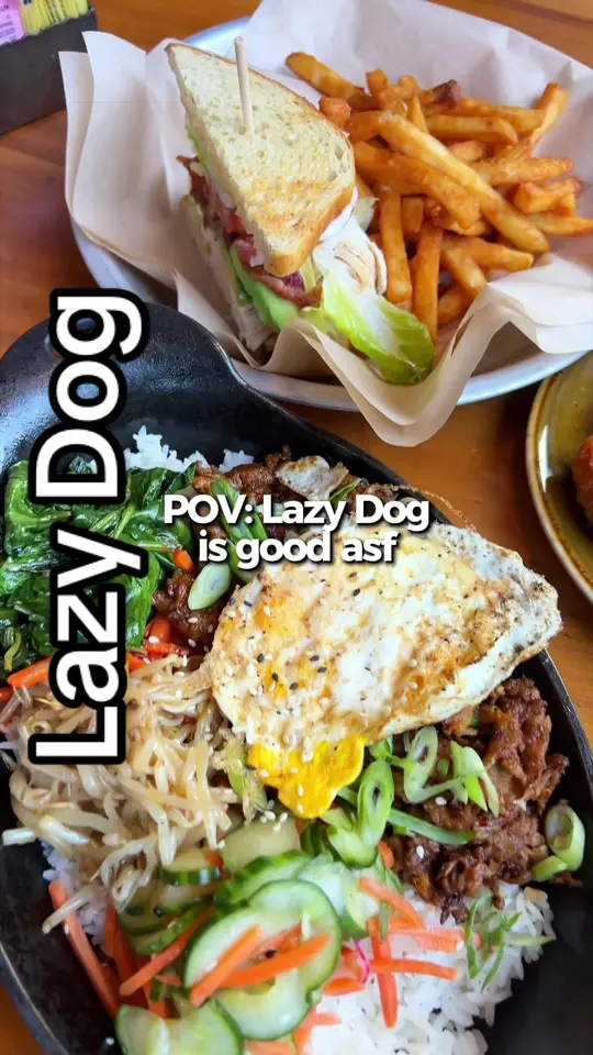 Lazy Dog Restaurant & Bar in Boca Raton showing food, menu items, video by nina_moneymentor on TikTok