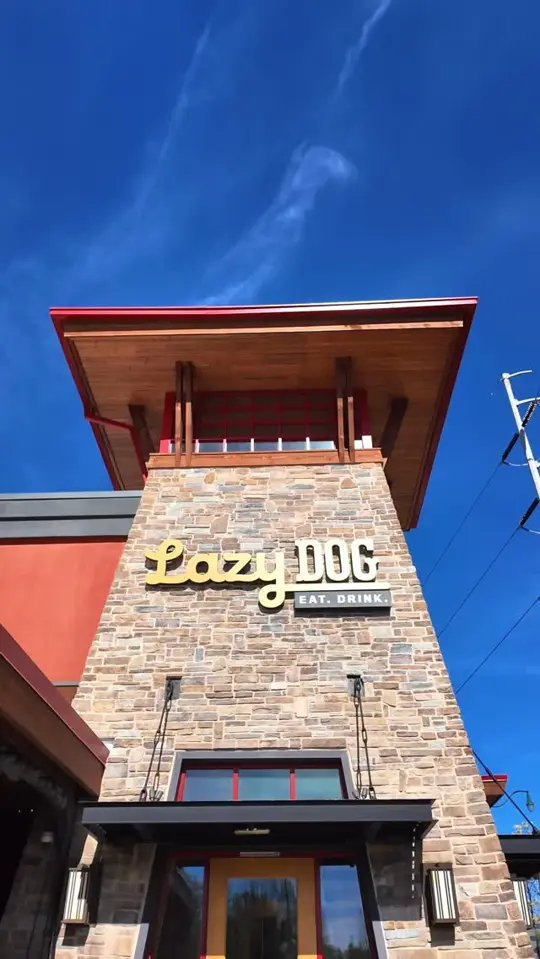 Lazy Dog Restaurant & Bar in Dunwoody showing restaurant reopening, menu items, tikka masala meatballs, french onion pastry puffs, hot honey feta dip, steak + veggie kebabs, video by Discover Dunwoody, GA on Facebook
