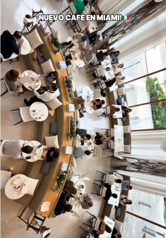  in Florida showing restaurant, cafe, italian food, gelatos, pasta, wine, video by gabrielaromeros on TikTok