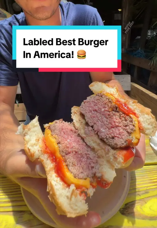 Le Tub in Hollywood showing food, original burger, food, grilled mahi mahi, food, steak cut fries, video by brooklynbitess on TikTok