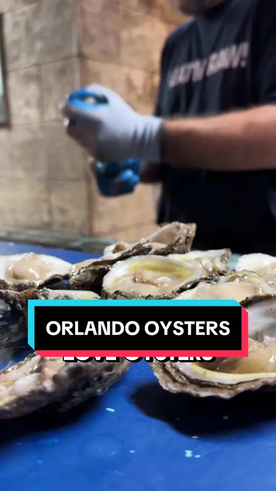Lee & Rick's Oyster Bar in Orlando showing oyster bar, fresh oysters, video by wrightdownmainstreet on TikTok