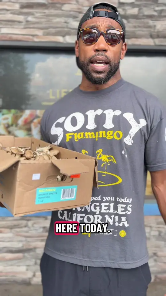 Life Bistro in Atlanta showing brunch, oyster mushrooms, video by lifebistro on TikTok