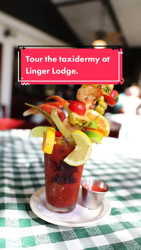 Linger Lodge Restaurant & Bar in Bradenton showing bar, taxidermy, video by sarasotamagazine on TikTok