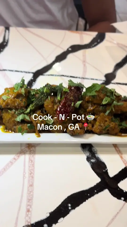 Little India in Macon showing restaurant visit, indian fusion food, portion sizes, customer service, atmosphere, video by chass______ on TikTok