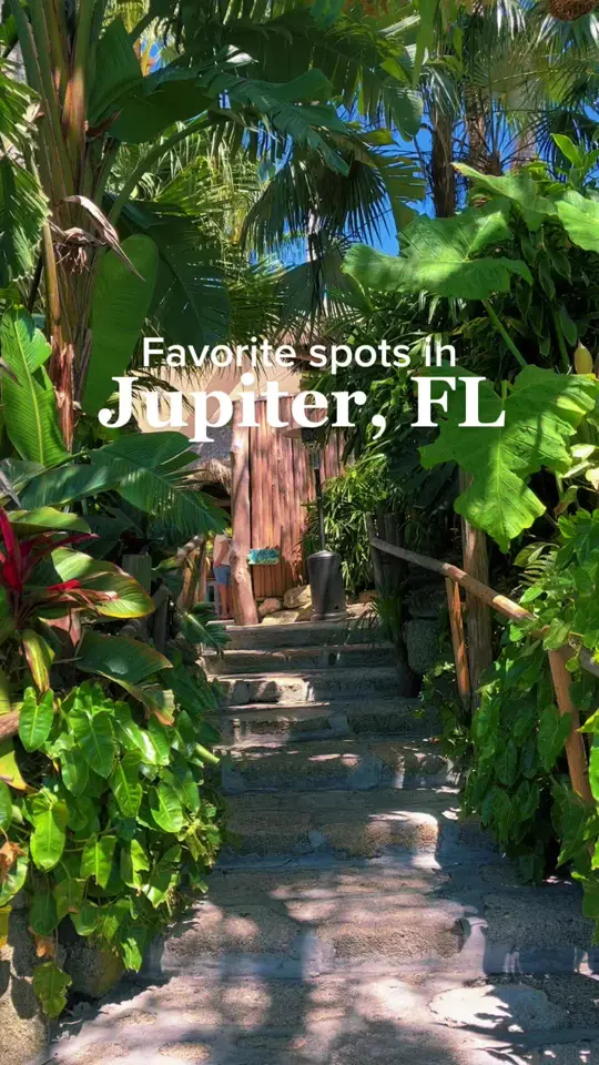 Little Moir's Food Shack in Jupiter showing visit, atmosphere, live music, video by bookitblonde on TikTok