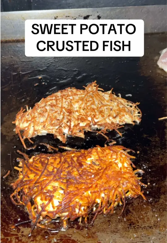 Little Moir's Food Shack in Jupiter showing food, fish, video by mikeiseating on TikTok
