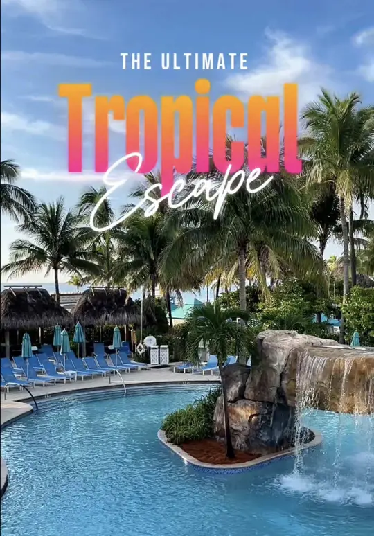 Lone Palm Beach Bar on TikTok, video by thefloridainsider