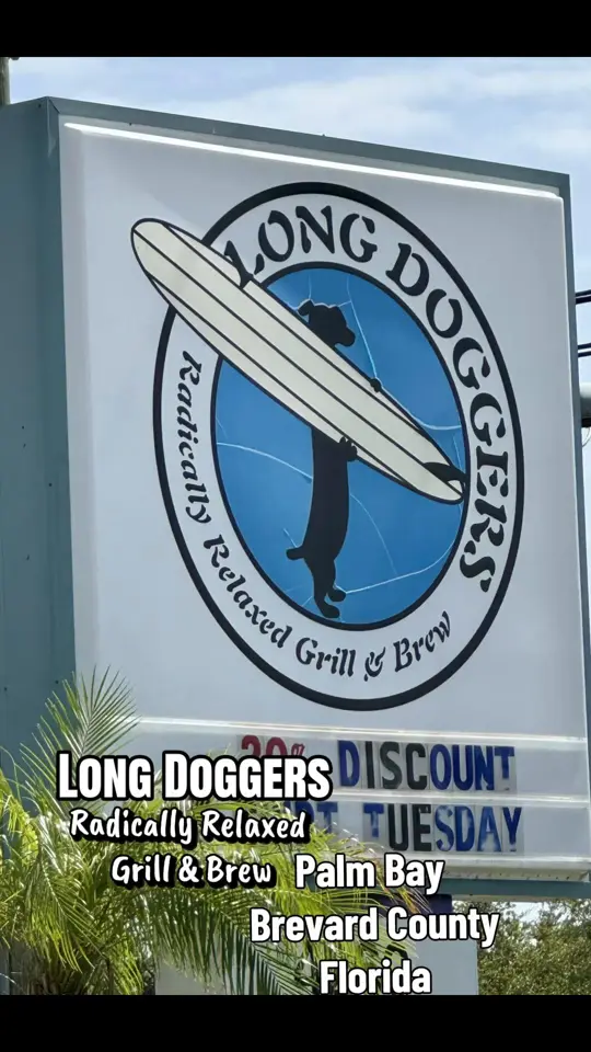 Long Doggers in Cocoa Beach showing review, visit, wings, char-grilled hot dogs, fresh seafood, video by giagflorida on TikTok