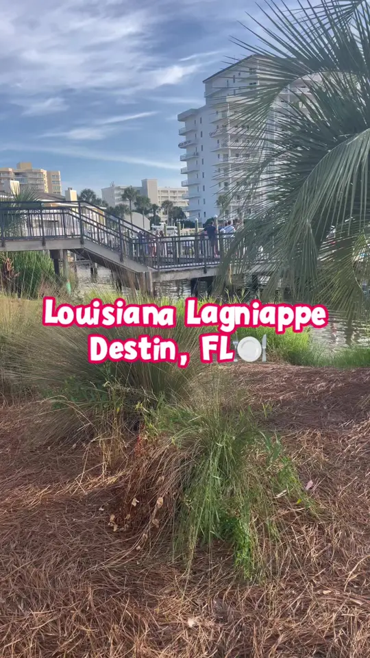 Louisiana Lagniappe on TikTok, video by asl_for_teens