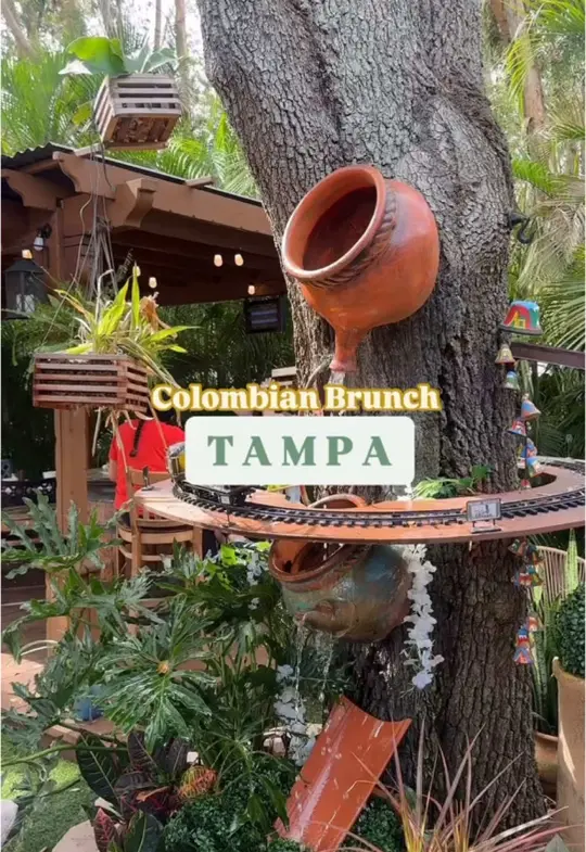 Lpcx Cafe in Tampa showing review, iced latte, bistec a caballo, video by sunkissedintampa on TikTok