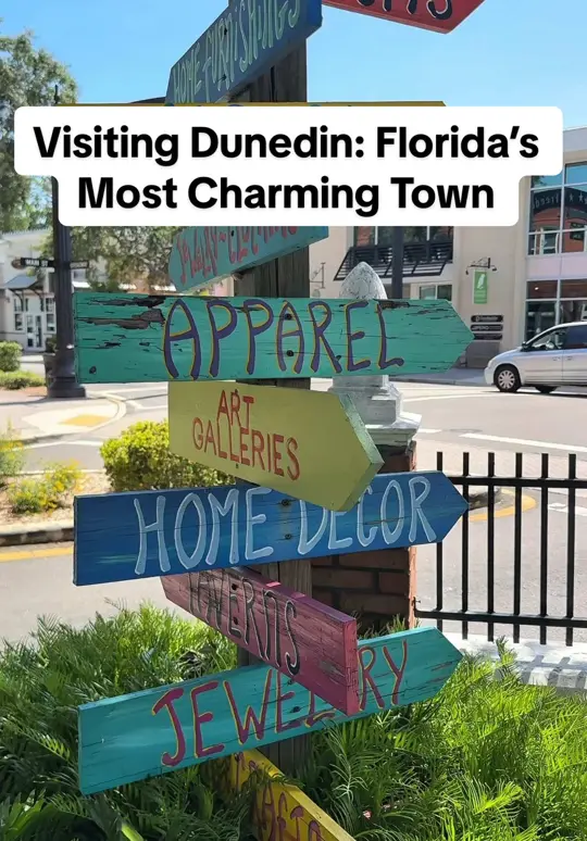 Lucky Lobster Co. in Dunedin showing restaurant, dining, video by stumblinguponserendipity on TikTok
