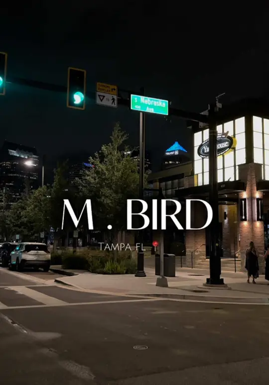 M.Bird in Tampa showing cocktail, jerk chicken tacos, video by kayskamm on TikTok