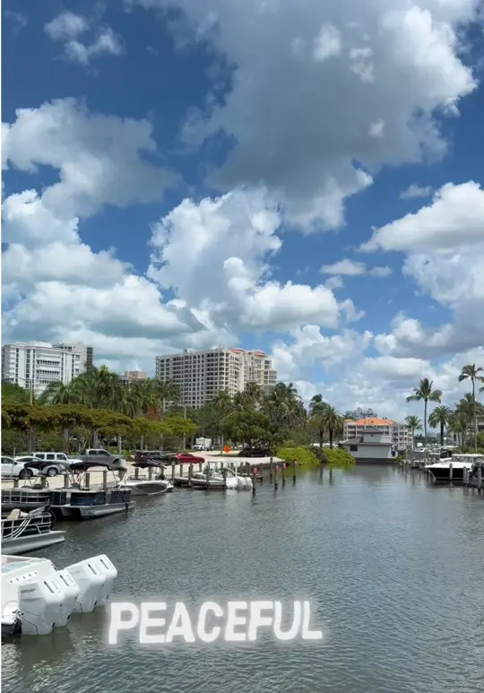 M Waterfront Grille in Naples showing review, visit, atmosphere, video by whatsupftmyers on TikTok