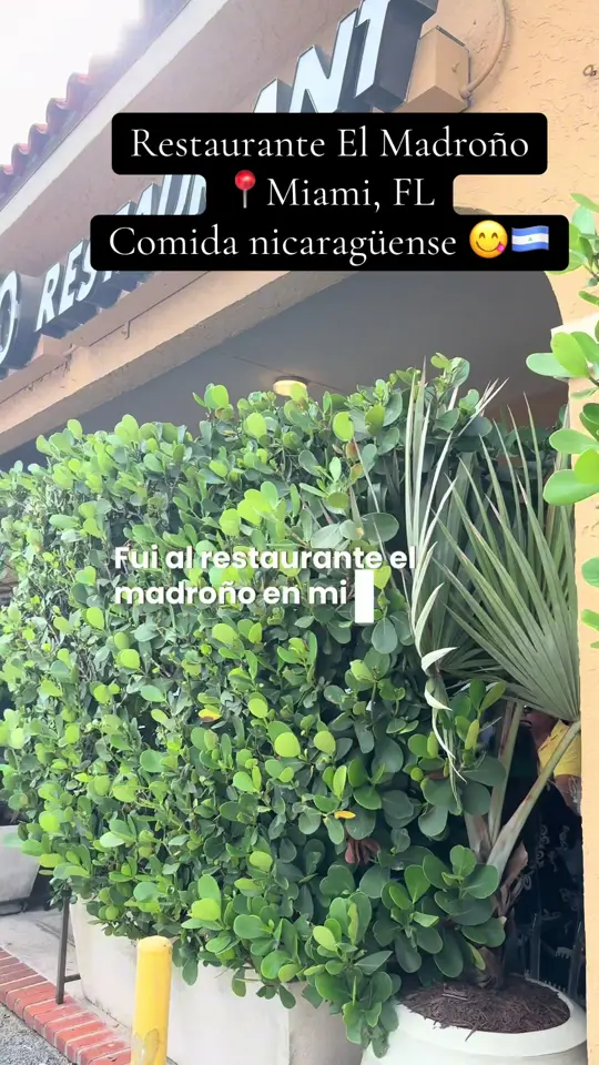 Madroño Restaurant in Miami showing food, nicaraguan food, video by lifeconsabor on TikTok