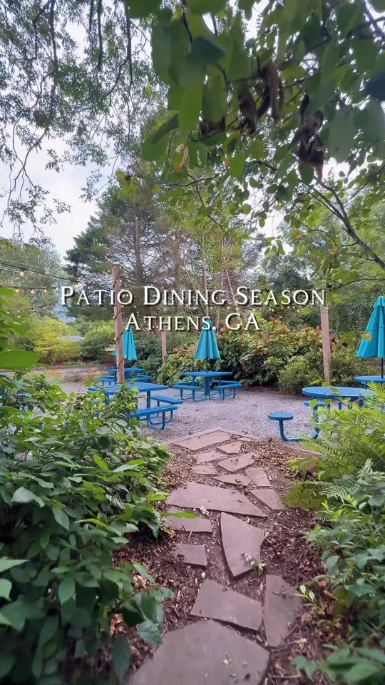 Maepole in Athens showing restaurant visit, cafeteria style dining, atmosphere, string-light ambience, video by samantha_angelie on TikTok