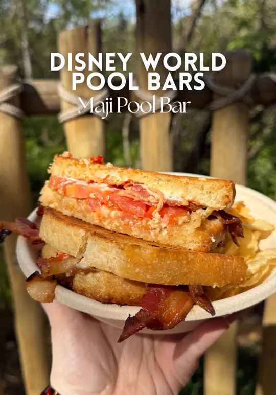Maji Pool Bar in Bay Lake showing restaurant, pool bar, animal kingdom lodge, video by bethanyvinton on TikTok