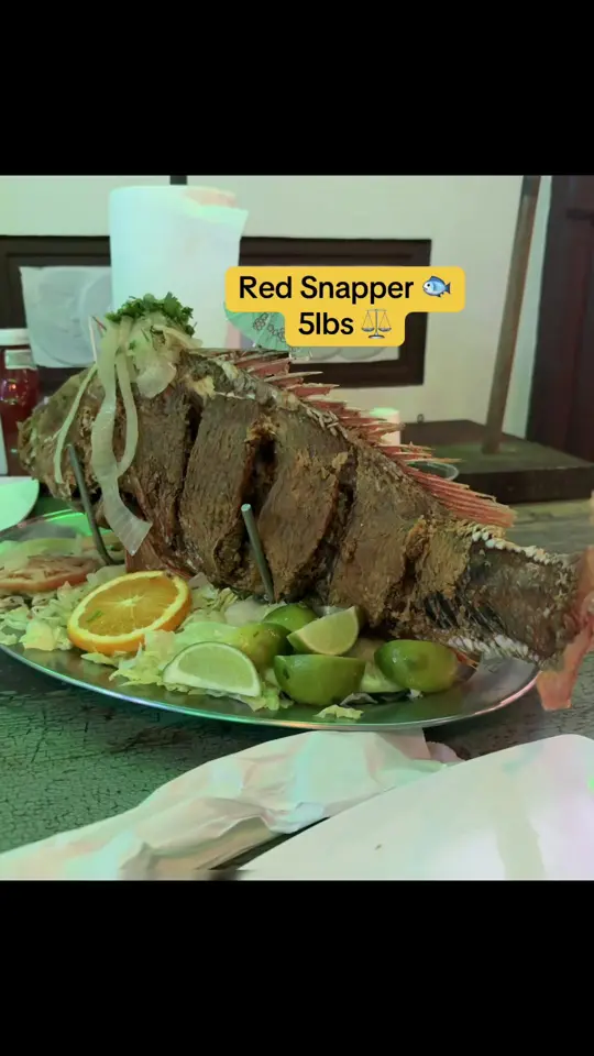 Mamacitas Latin Bar & Grill in Hollywood showing food, fried snapper, video by katyvugc on TikTok