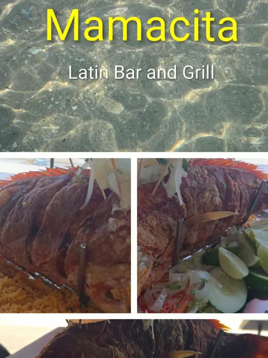 Mamacitas Latin Bar & Grill in Hollywood showing food, famous gigantic fried snapper, drinks, atmosphere, ocean views, video by foodexplora on TikTok
