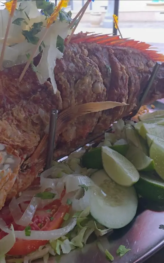 Mamacitas Latin Bar & Grill in Hollywood showing latin bar, grill, ocean views, drinks, video by Kevin Foodie on Facebook