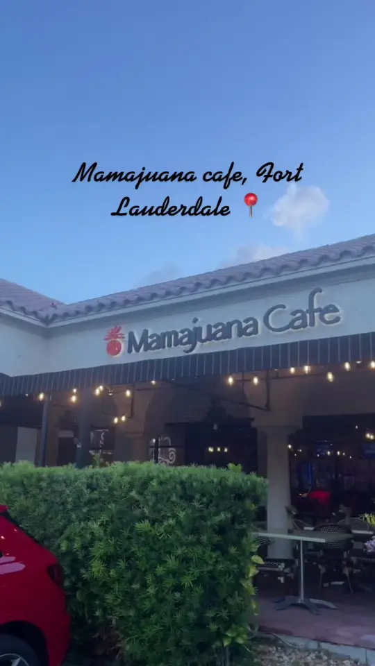 Mamajuana Cafe Fort Lauderdale in Fort Lauderdale showing food, drinks, vibes, video by _emanikrystal on TikTok