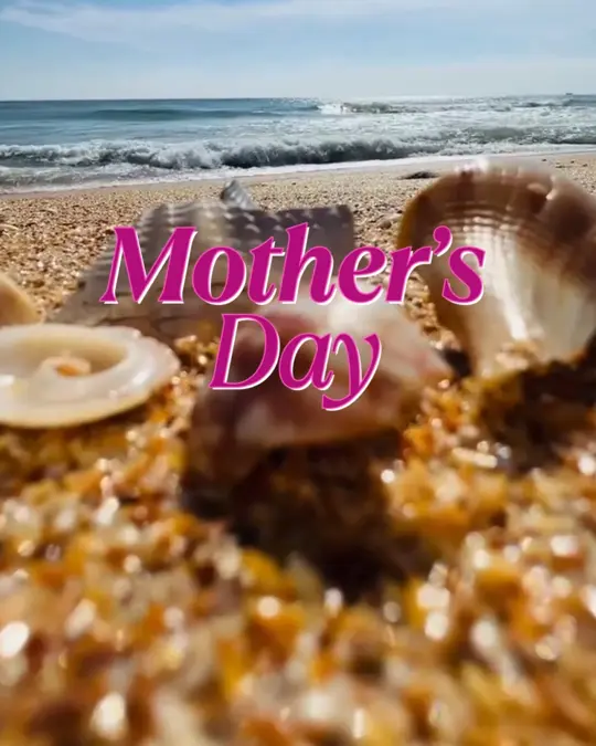  in Florida showing dinner, asian street food, video by Palm Coast and the Flagler Beaches on Facebook