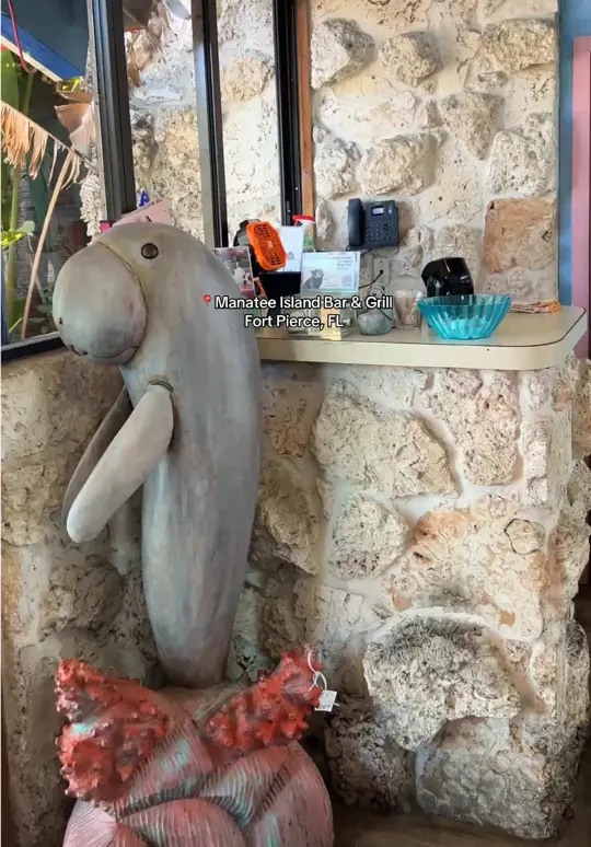  in Florida showing visit, atmosphere, video by livingwithshel on TikTok