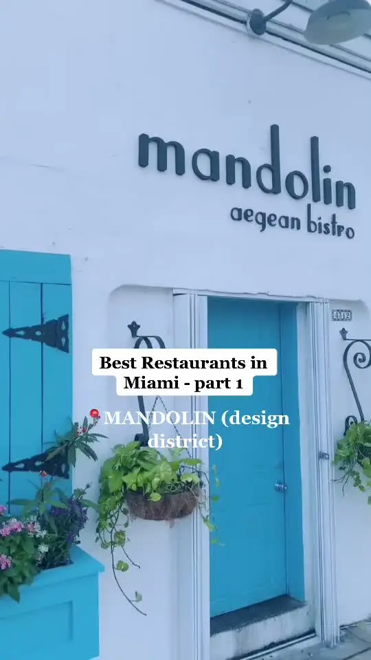 Mandolin Aegean Bistro in Miami showing greek food, lunch date, video by sammypur on TikTok