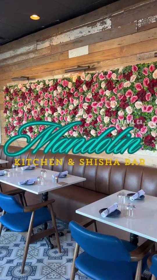 Mandolin Kitchen & Shisha Bar in Atlanta showing food, fattoush salad, hummus & eggplant shakshouka, lamb chops, shish kabob (filet mignon), fruit plate, espresso martini,, video by atlhotspots1 on TikTok