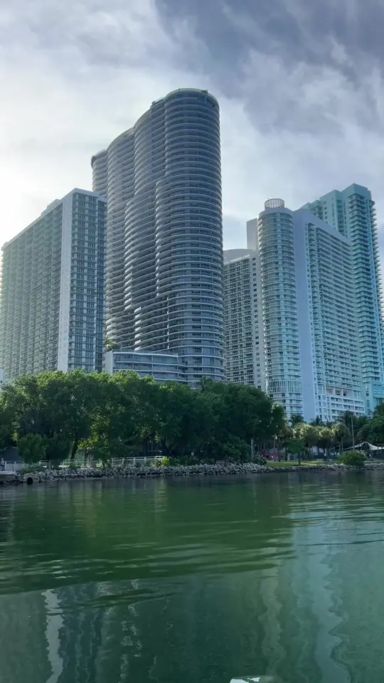 Mangrove in Miami showing review, atmosphere, video by awrinkleinwakanda on TikTok