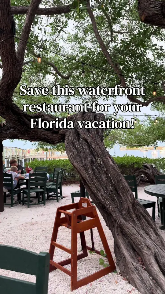 Mar Vista Dockside Restaurant in Longboat Key showing waterfront dining, family-friendly atmosphere, cocktails, video by modernmomaesthetic on TikTok