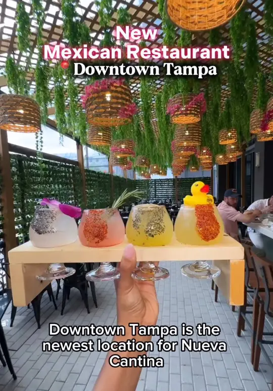 Margaritas Mexican Restaurant in Tampa showing mexican food, birria pizza, taco tuesday, cinco de mayo, video by yourtampabestie on TikTok