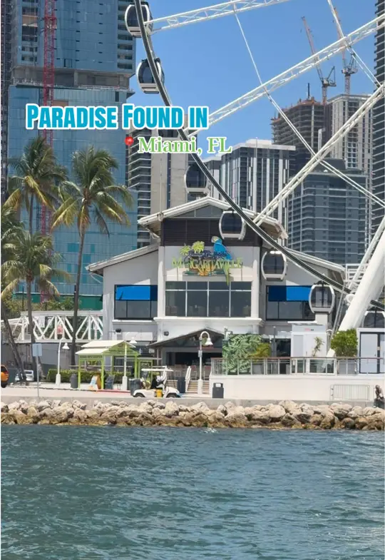 Margaritaville - Miami Bayside in Miami showing cocktail, atmosphere, video by margaritavillerestaurant on TikTok