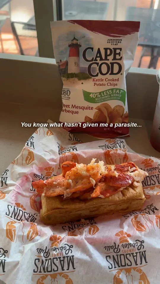 Mason's Famous Lobster Rolls in Fernandina Beach showing food, lobster roll, video by masonslobster on TikTok