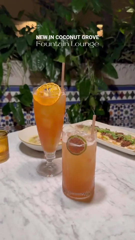 Mayfair House Hotel & Garden in Miami showing cocktail, fountain lounge, small batch spirits, local ingredients, video by fashion.eat.travel on TikTok