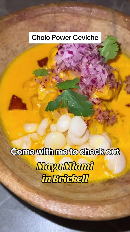 MAYU in Miami showing peruvian food, wagyu anticuchero, arroz meloso characato, suspiro limeño, video by illeatdat on TikTok