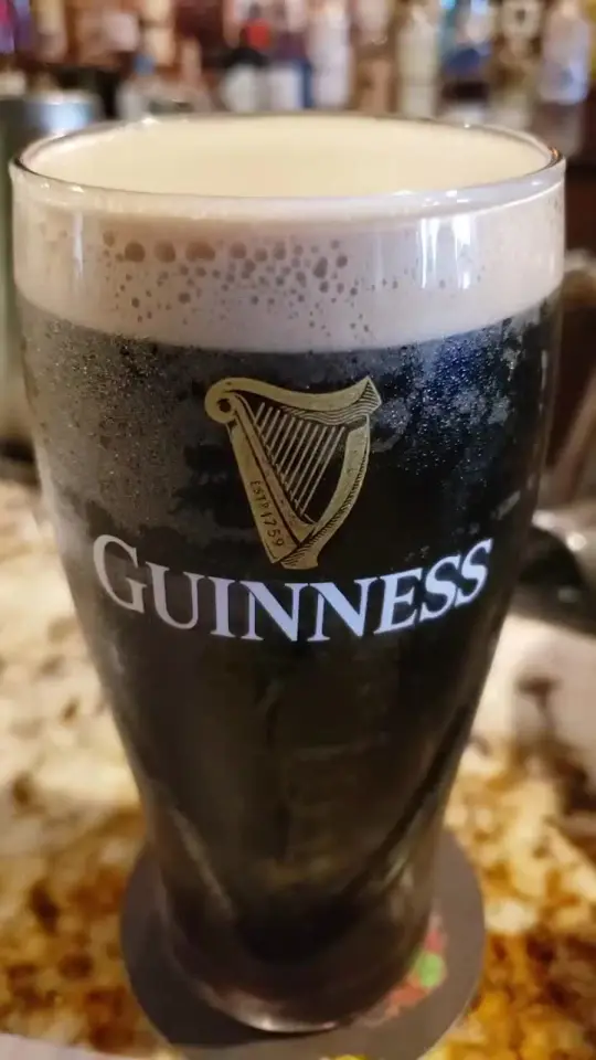 Meehan's Irish Pub in St. Augustine showing food, baked oysters, drink, guinness, video by staugustineexperiences on TikTok