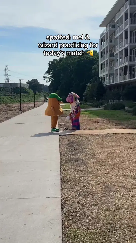 Mellow Mushroom Atlanta - Midtown in Atlanta showing pizza, atmosphere, visit, video by mellowmushroom on TikTok