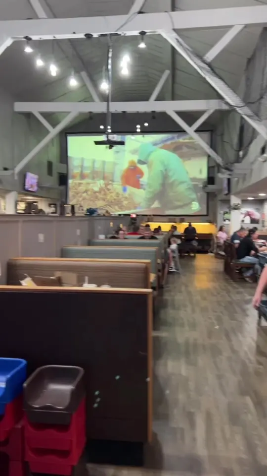 Melody's Coastal Cafe in Midway showing restaurant visit, food, video by misscedess on TikTok
