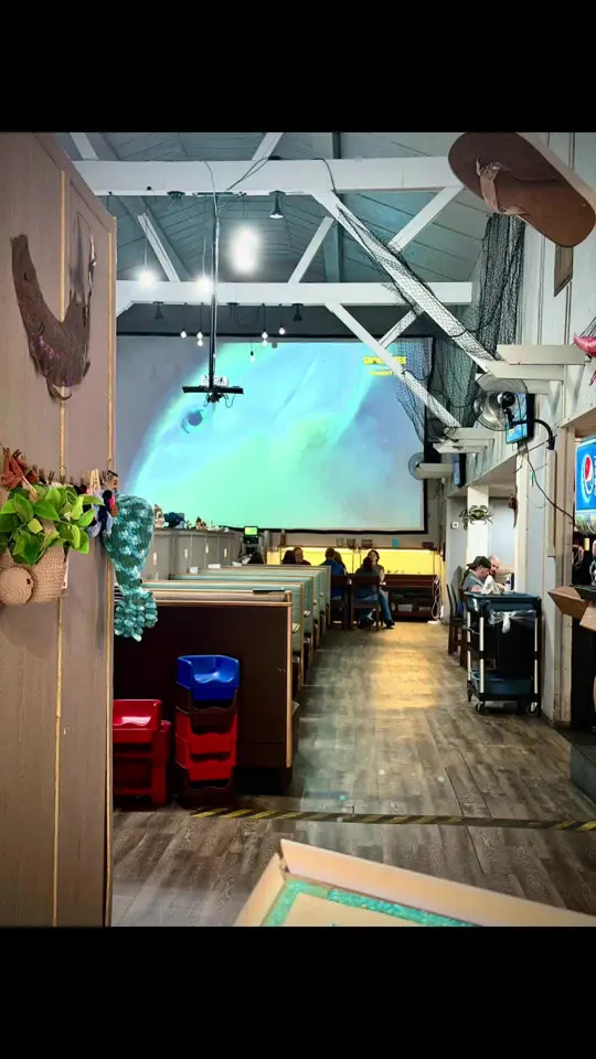 Melody's Coastal Cafe in Midway showing food, yummy, video by georgiapeachgigi71 on TikTok