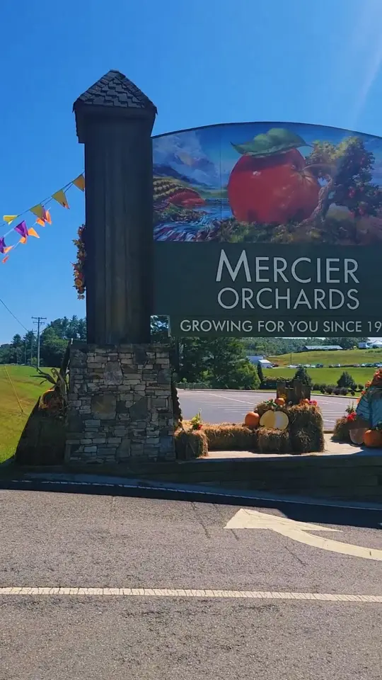 Mercier Orchards in Blue Ridge showing apples, pumpkins, pies, bakery goods, wines, ciders, video by visitblueridgega on TikTok