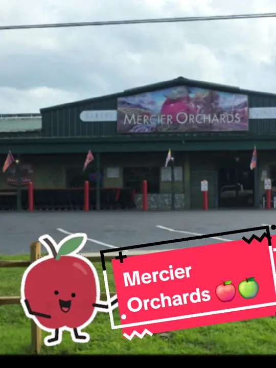 Mercier Orchards in Blue Ridge showing visit, apple orchard, blue ridge mountains, video by mea.anderson on TikTok