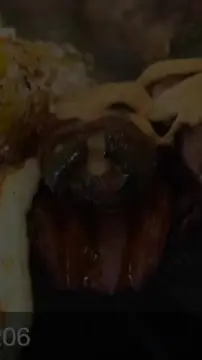 Mi Rancho Mexican Restaurant in Martinez showing restaurant, mexican food, video by Mi Rancho Restaurant - Hackensack on Facebook