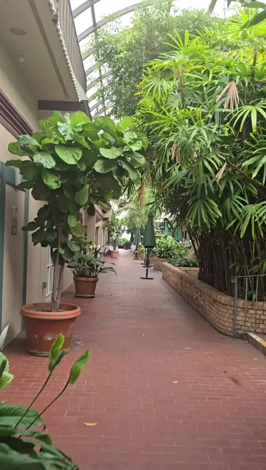 Michael's On East in Sarasota showing review, visit, beef tartare, cocktails, video by laurielivinlife on TikTok