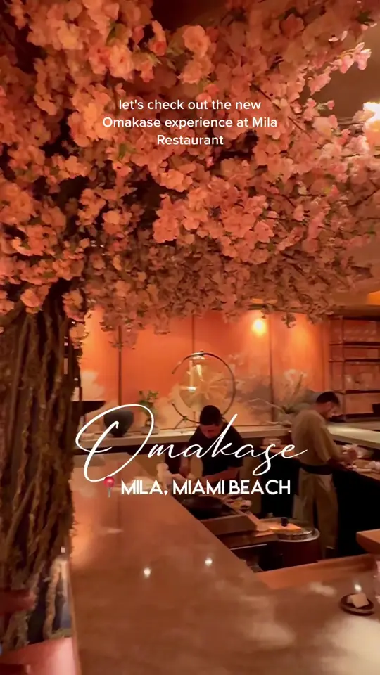 MILA in Miami Beach showing omakase, sushi, video by naughtyfork on TikTok