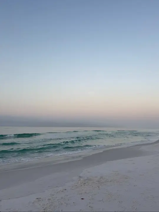 Mimmo's 30A Ristorante Italiano in Santa Rosa Beach showing coffee, food, restaurant visit, video by heather.demers on TikTok
