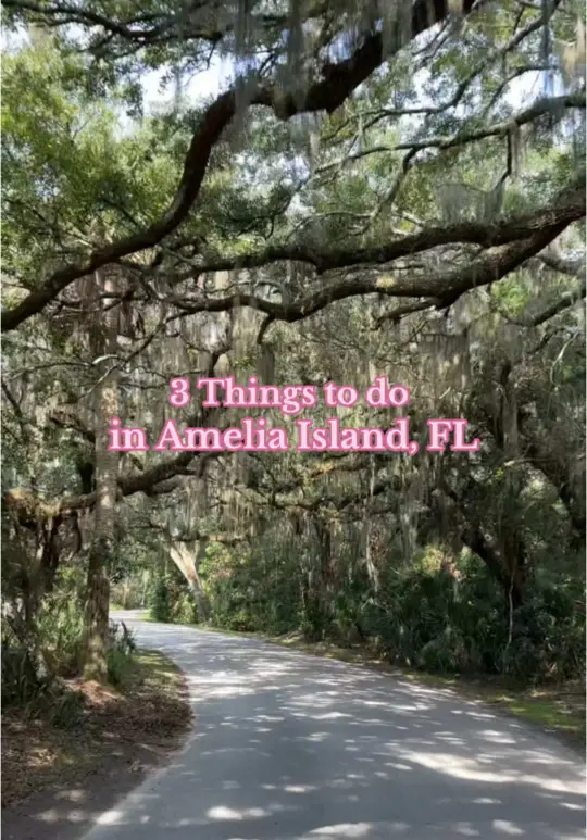 Mocama Beer Company in Fernandina Beach showing brewery visit, drinks, video by thelongweekender on TikTok