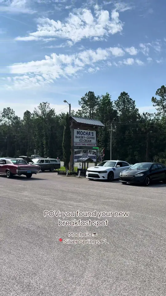 Mocha's in Silver Springs showing review, visit, bagel sandwich, coffee, cozy vibe, video by fladventureswithkelsi on TikTok