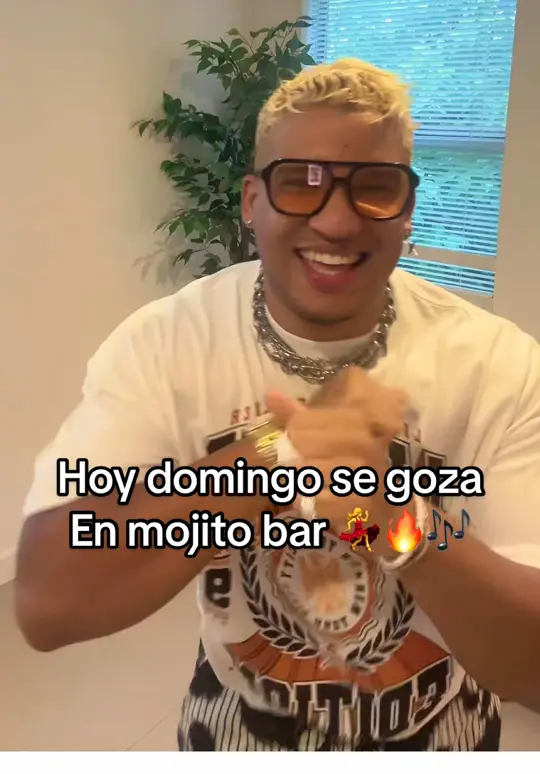 Mojitobar & Daiquiribar Dolphin Mall in Miami showing live music, mojito, video by elgabi_oficial on TikTok
